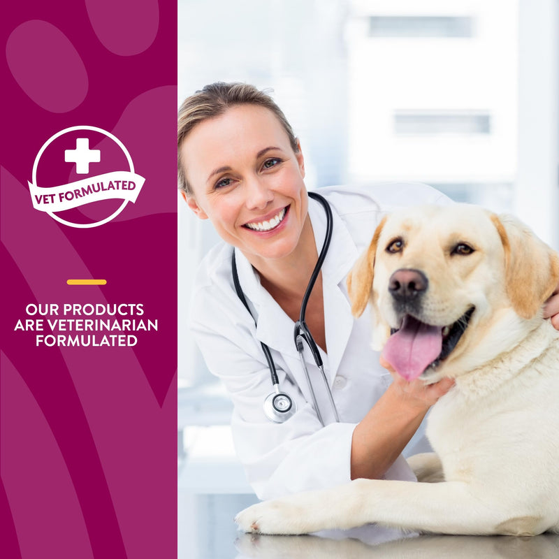 NaturVet Hip & Joint Plus Soft Chew (Bag) 120 ct