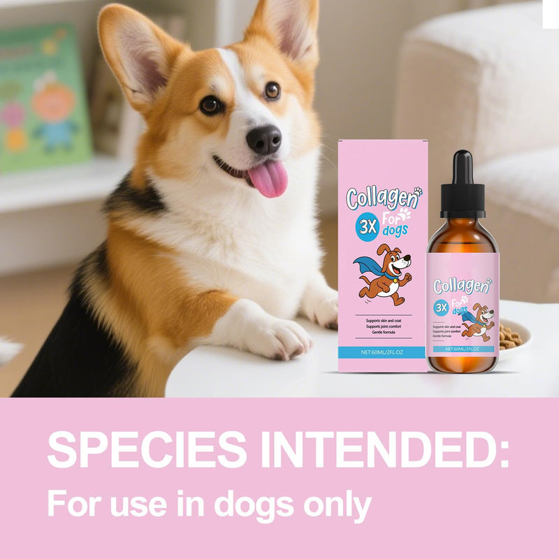 Bloom Collagen for Dogs, Bloom Triple Collagen for Dogs, Gentle Formula, Supports Skin and Coat, Joint Comfort, 60ml (2pcs) 2pcs
