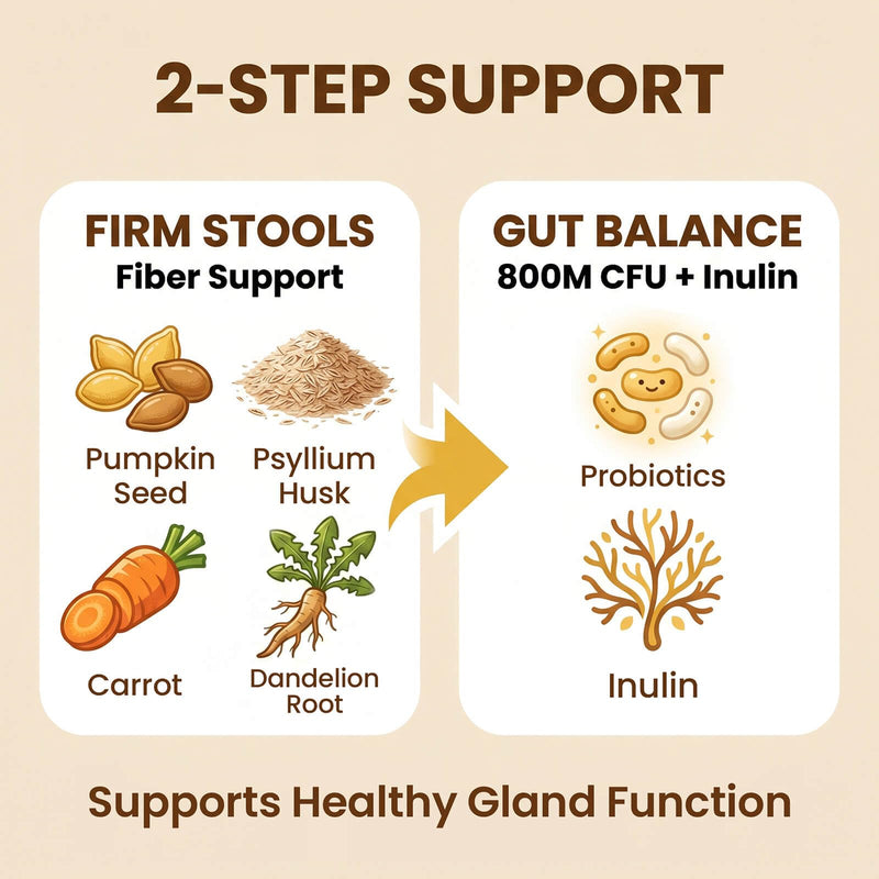 Anal Gland Supplement for Dogs, 800M CFU Probiotics & Fiber Soft Chews with Pumpkin Seed, Psyllium Husk & Inulin for Stool Consistency, Daily Digestive Health Support, Chicken Flavor, 90 Ct