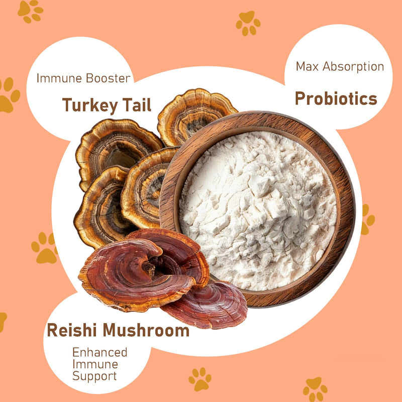 Lumiquor Tu-rk-ey Tail for Dogs, Lumiquor Tu-rk-ey Tail Mushroom Powder, Support Your Mature Dog’s Immunity, Gut, Skin, (1pcs) 1pcs