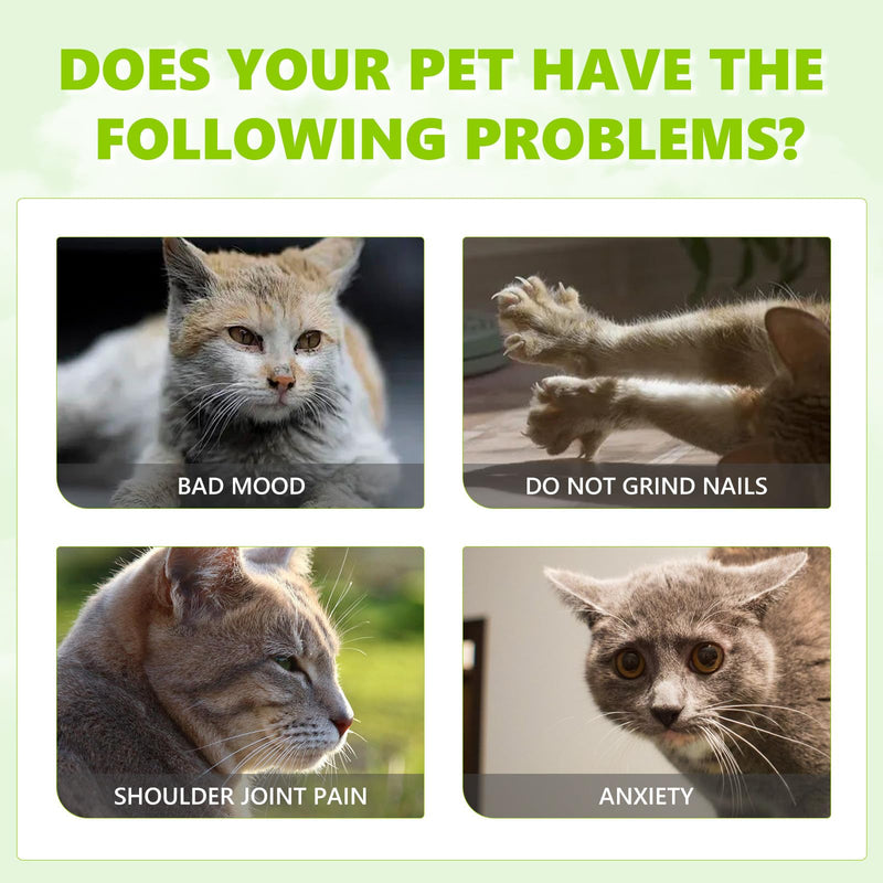 Kitty Joy Herbal Cat Joy, Kitty Joy Herbal Spray, Herbal Cat Joy Spray, Catnip Spray for Indoor Cats, Celery Pets Catnip Spray, Cat Training Spray with Catnip(1pc) - PawsPlanet Australia