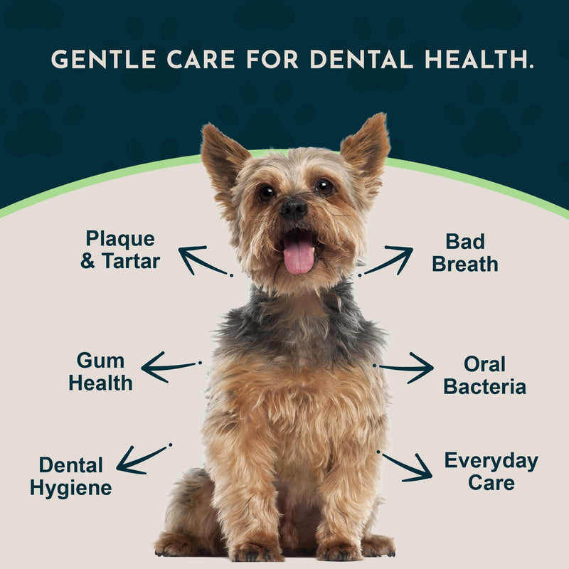 Animal Essentials Sea-Dent for Dog Teeth - Dental Powder for Dogs & Cats Teeth & Gums, Natural Oral Formula for Plaque & Tartar, Bad Breath Oral Freshener & Cleaner - 1.76 oz