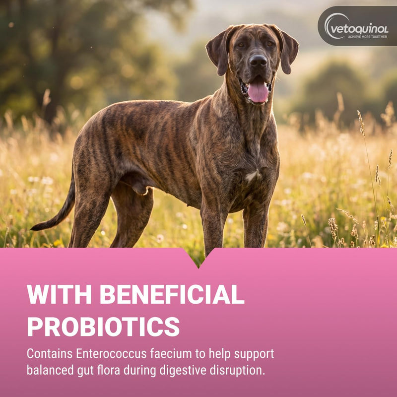 Vetoquinol Pro-Pectalin - Supports Digestive System & Stool Firmness for Dogs & Cats - Chewable Probiotic Supplement for Intestinal Support - For All Breeds - 60 Count 60 ct