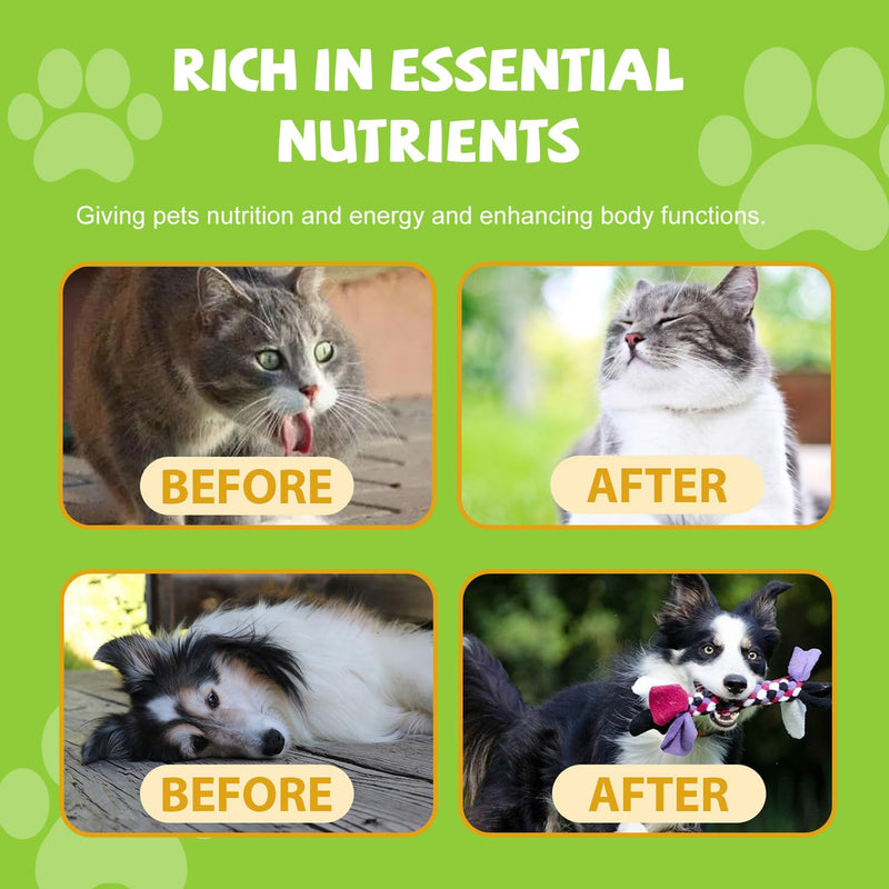 Kidney Support for Cats, Cat Kidney Support Cat Urinate Regularly, Strengthen Kidney Function, Cranberry Supplement Supports Healthy Kidney Function, Cats Nutritional Supplement Care - 60ml/2 fl.oz