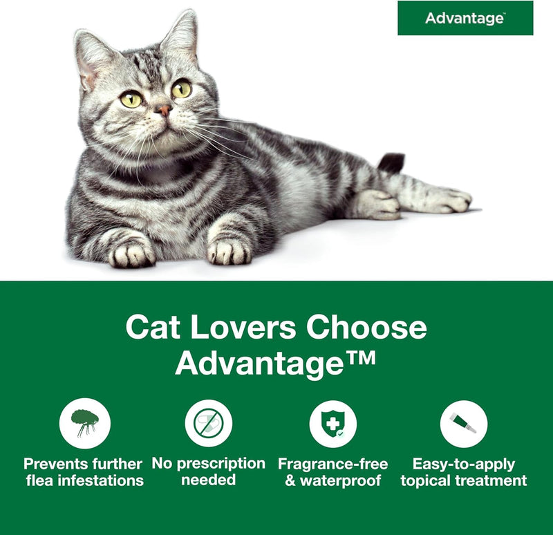 Bundle of Advantage Topical Flea Treatment and Prevention for Large Cats Over 9 lbs. + Advantage Household Flea Fogger for Home | 2 oz. Canisters (Pack of 3) Large Cat + Fogger