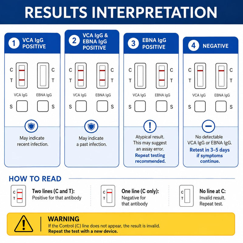 Epstein Barr (EBV) Test at-Home Testing，Easy to Read and use，Quick Results Within 15 Minutes，Against The Epstein-Barr Virus’s VCA and EBNA，Highly Accurate.