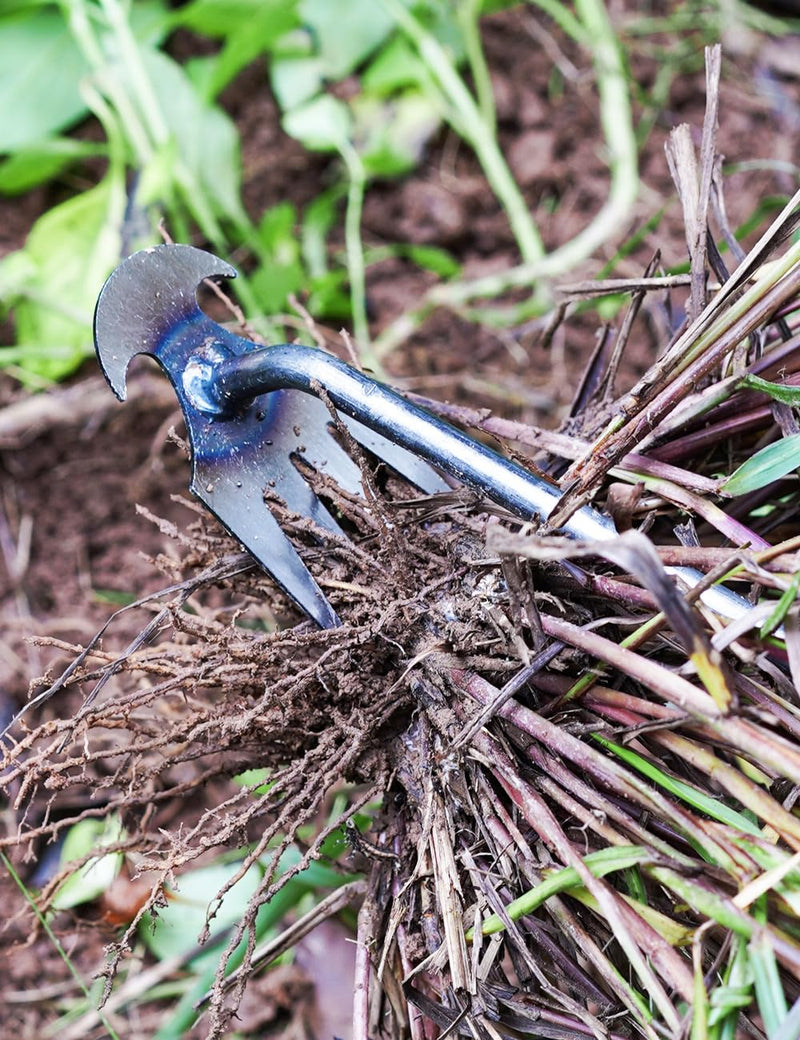 TOYPOPOR New Weeding Artifact Uprooting Weeding Tool, 16" Weed Puller, 4 Teeth Manganese Steel Forged Hand Pulling Weeder for Garden Yard Farm Weed Removal 4 Teeth Weeder
