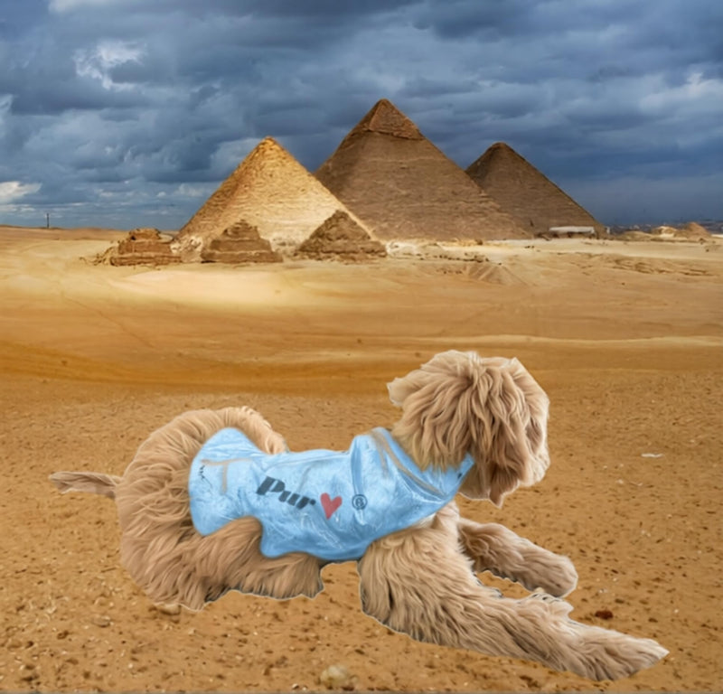 JANOO - Cooling Vest Gel Pack for Dogs (Medium) Medium