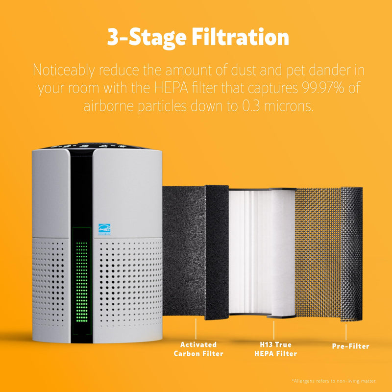 Kenmore KF69 348e Series Air Purifier Replacement True HEPA Filter for PM1010 (Pack of 2) 5.6" x 5.6" x 5.7" (Pack of 2)