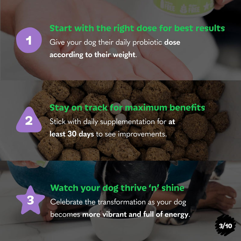 Probiotics for Dogs from Tails 'N' Tummies - Made with Minimal Ingredients to Alleviate Allergies, Diarrhea, Infections, & More - PawsPlanet Australia