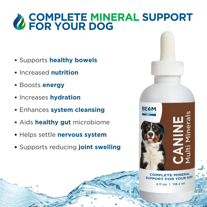 Beam Minerals Complete Canine Multi-Minerals | Full-Spectrum Minerals for Dogs | Contains Humic & Fulvic Acid | 4 fl Oz - PawsPlanet Australia