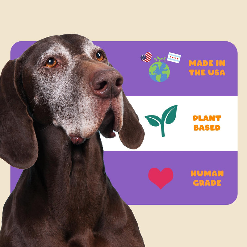 Hip and Joint Supplement for Dogs - Glucosamine and Tumeric Treats - Anti-Inflammatory Chews for Joint Health Support, Arthritis, Pain Relief - For Large and Small Breeds, Senior Dogs, Puppies 200 grams - PawsPlanet Australia