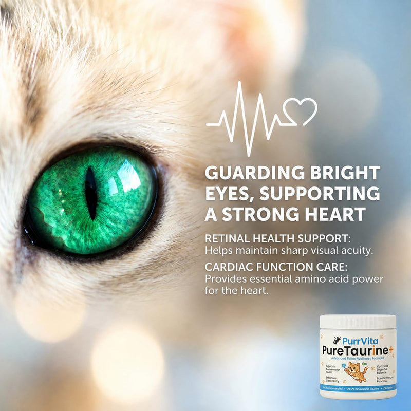 Taurine for Cats, Pure Taurine Supplement for Cats, Supports Vitality & Coat Health, Easy to Mix in Food, with Dosing Spoon, 200 Grams