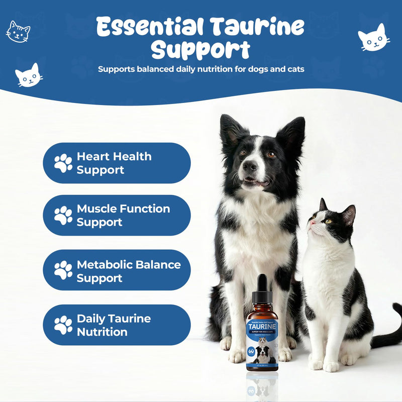 Taurine Supplement for Dogs & Cats, Pet Amino Acid Supplement for Heart Function, Muscle & Metabolic Support, Daily Nutrition for Pets, Liquid Taurine Drops, 2 fl oz (60 mL)