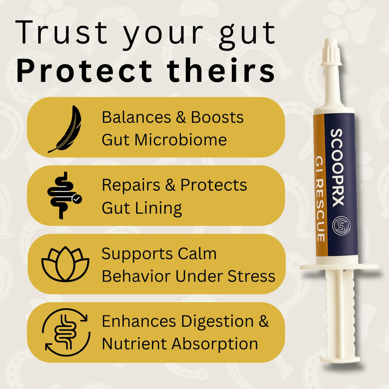Horse Digestive Support System | Emergency & Daily GI Balance | Probiotic Prebiotic Formula | for Colic Gas Diarrhea & Stress | No Fillers No Sweeteners | ScoopRx USA Made |Paste 15ml (Pack of 1) Pack of 1 GI Rescue Paste