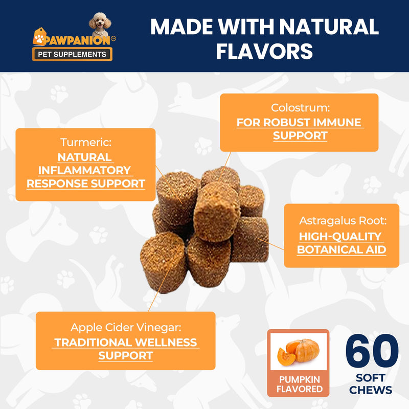 Probiotic Soft Chews for Dogs, Gut Health & Digestive Support, 6 Billion CFU + Enzymes + Prebiotics, Immune Support, 60 Soft Chews Pumpkin Flavor Probiotic