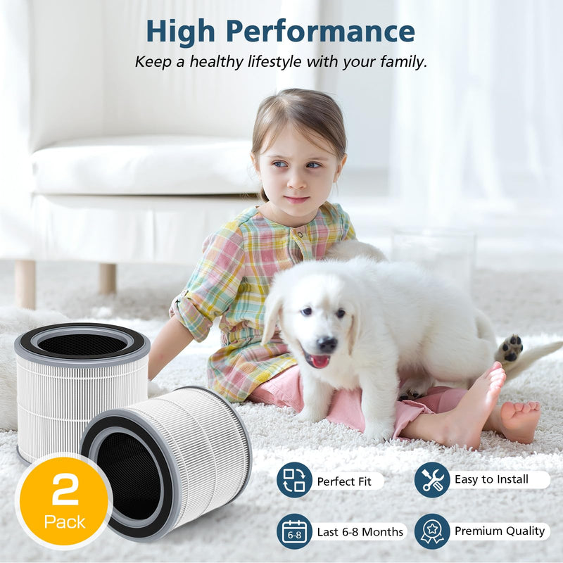 2 Pack Filter Replacement for Hynik Alviera HH001 Air Puri-fier