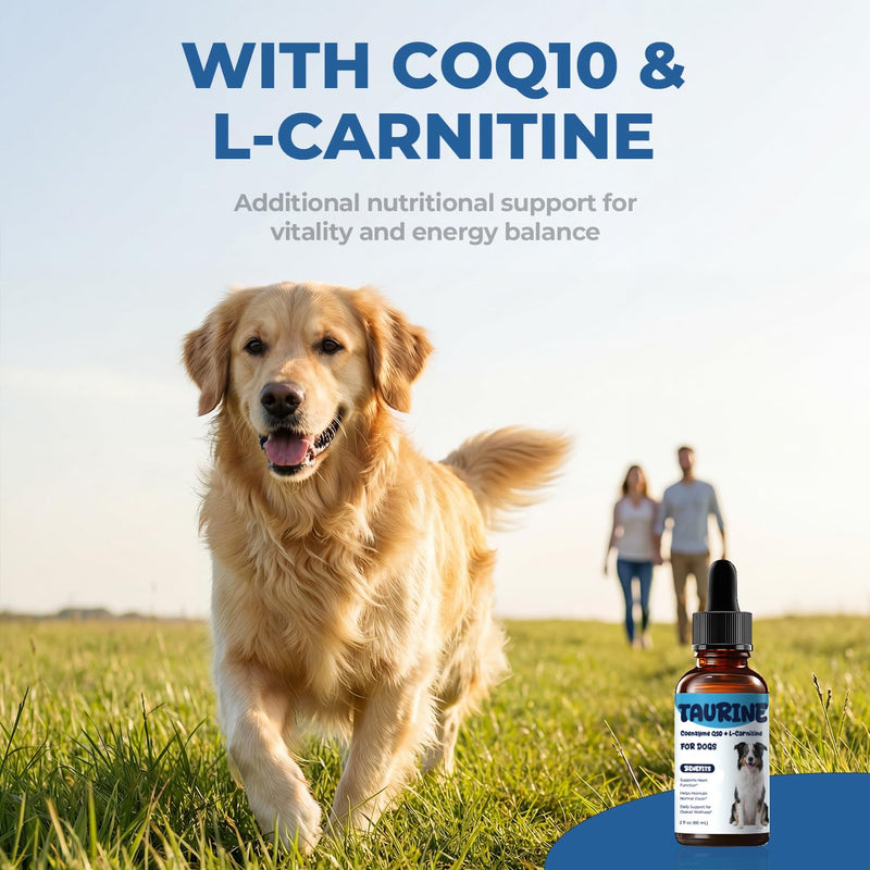 Taurine Supplement for Dogs Liquid Drops with Coenzyme Q10 & L-Carnitine – Supports Heart, Energy & Daily Activity – Easy to Add to Food, 60 ml 60 ml (Pack of 1)