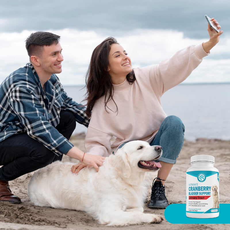 Wanderfound Pets Ultimate Cranberry Bladder UTI Support Supplement for Dogs - Dog Urinary Tract Infection Incontinence Formula with Cordyceps Mushroom - Bacon & Liver Flavor - 90 Chewable Tablets - PawsPlanet Australia