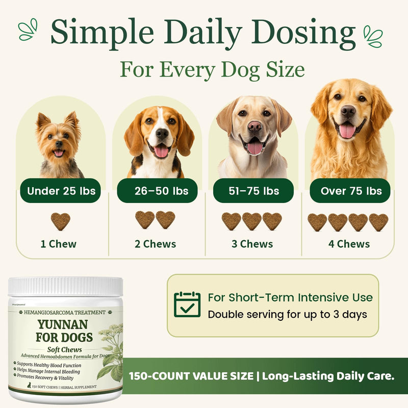 Herbal Yunnan Sanqi Soft Chews for Dogs, Stop Bleeding & Blood Builder for Hemangiosarcoma, Hemoabdomen, Cancer Bleeding, Kidney - Safe Daily Support for Long - Term Care, Boosts Vitality&Energy-150ct
