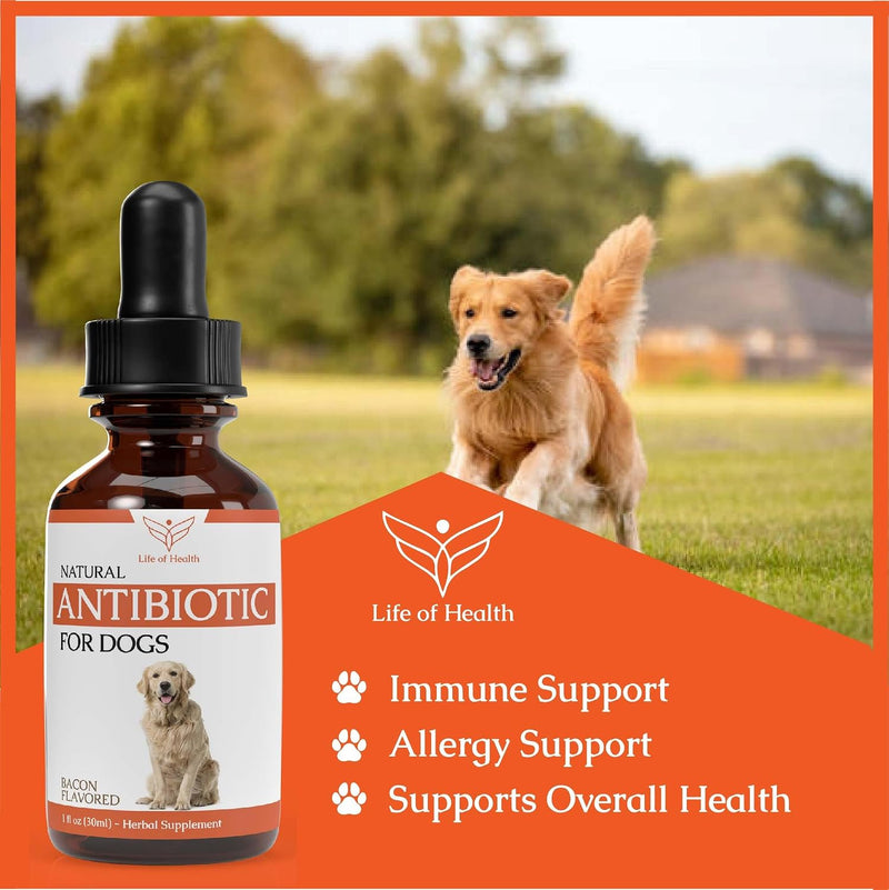 Natural Antibiotics for Dogs - Dog Antibiotics - Dog Itch Relief - Yeast Infection Treatment for Dogs - Dog Antibiotic - Dog Ear Infection Treatment - Pet Antibiotics - Antibiotic for Dogs - 1 oz