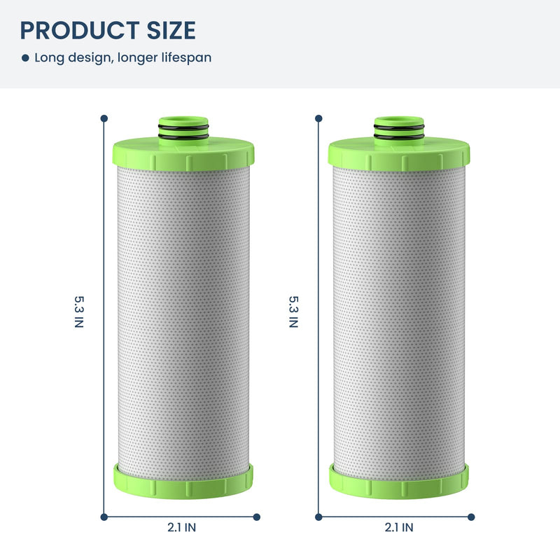 AO-US-200-R Water Filter Replacement Cartridge Compatible with AO Smith Advanced Water Filtration System, 1 Set (2 Counts)