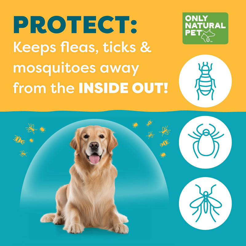 Only Natural Pet EasyDefense Barrier Bites Soft Flea Chews for Dogs - First Line of Defense Againts Fleas & Ticks, Boosts Immune System and Healthy Skin & Coat - (90 Bacon Flavored Soft Chews) 1 Pack 90 Count (Pack of 1) - PawsPlanet Australia