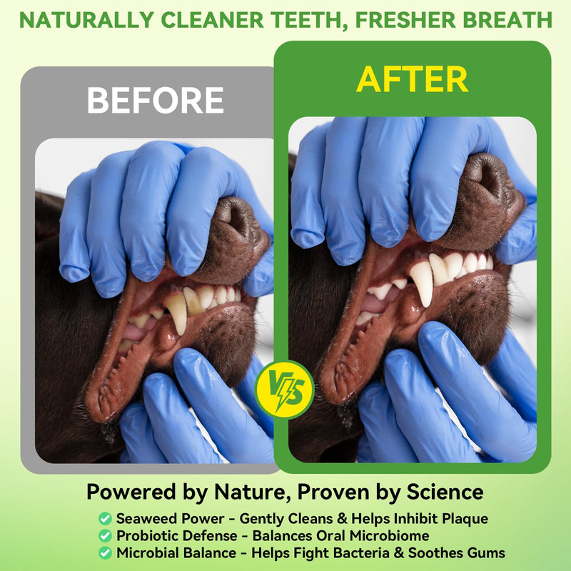 Dog Dental Powder - Plaque and Tartar Control with Bad Breath Freshener for Dog and Cat, Easy-Use Teeth Cleaning Powder with Mint,Suitable for All Breeds & Sizes,60 Day Supply
