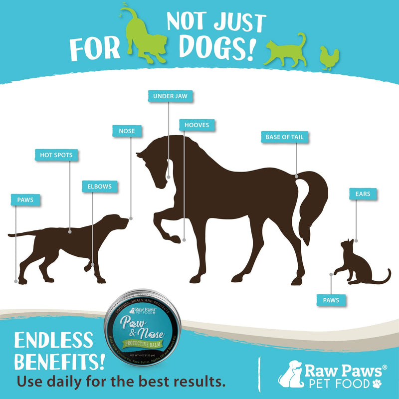 Raw Paws Virgin Organic Coconut Oil & Paw & Nose Balm Bundle - Coconut Oil for Dogs & Cats, 4-oz & Paw & Nose Balm, 4-oz - Treatment for Itchy Skin, Dry Nose, Paws - Natural Balm Paw Soother for Cats
