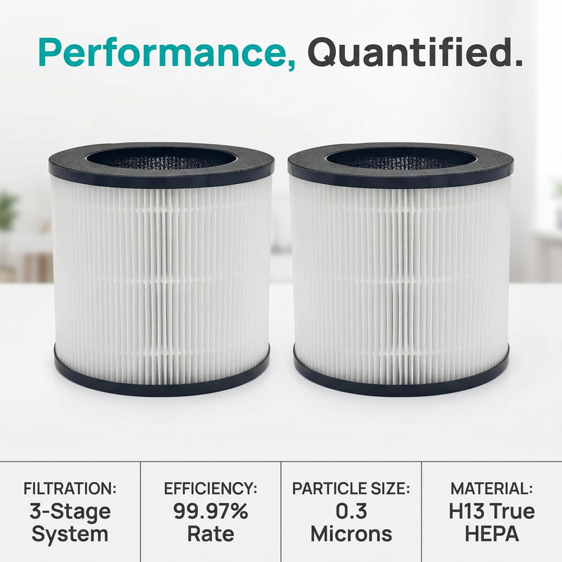 Replacement Air Filter A10 Compatible With GANIZA A10 AIR Purifier,H13 True HEPA Activated Carbon Filter(2-Pack)