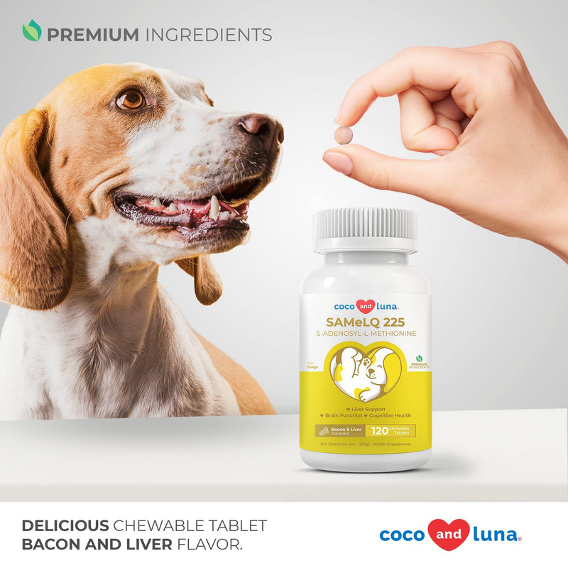 SAMe for Dogs - S-Adenosyl-L-Methionine, Liver Supplements for Dogs - Brain Supplement for Dogs, Promotes Cognitive Support, Liver Support Supplement Tablets