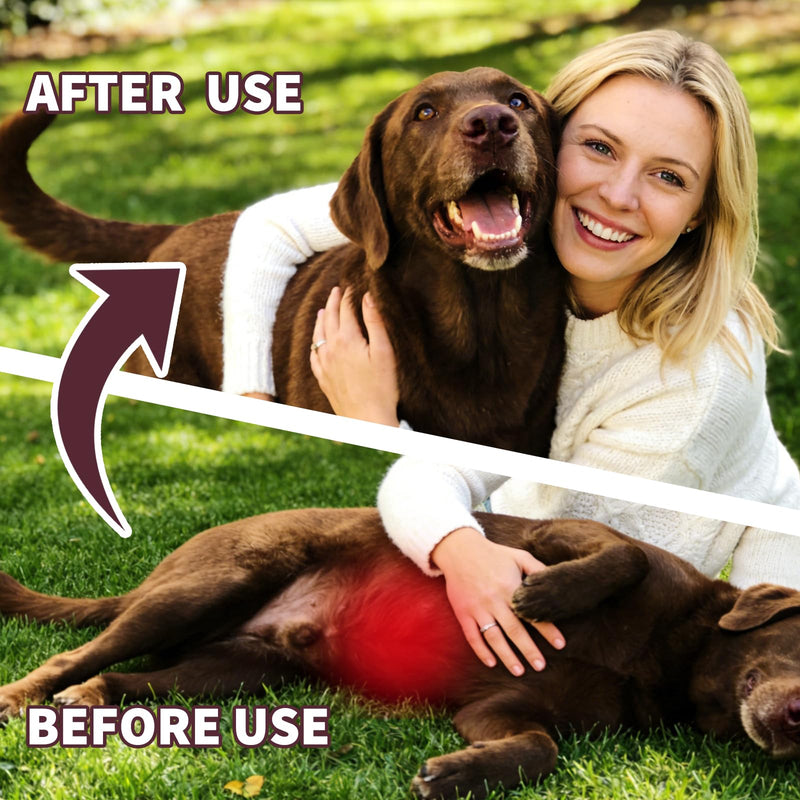 Dog Dewormer for Dogs & Puppies, Fenbendazole All Wormers Tablets for Tapeworms, Roundworms, Hookworms & Whipworms, 48 Count