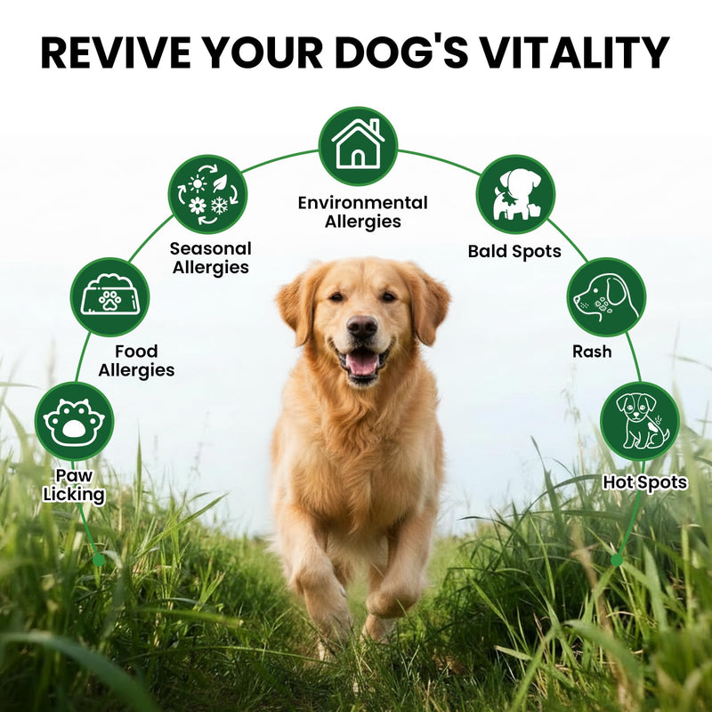 Dog Allergy Relief Chews, Supplement with Probiotics Vitamins, Itchy Skin Relief to Support Seasonal Allergy and Healthy Immune System, Skin and Coat Allergies,Itching & Paw Licking, 200 Soft Treats 200 PCS