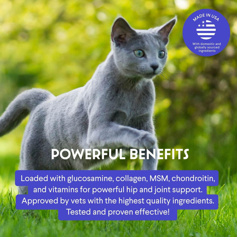 Premium Liquid Glucosamine for Cats – with Collagen, Glucosamine, Chondroitin, MSM, Taurine & Hyaluronic Acid – Cat Joint Support, Mobility & Flexibility - Hip & Joint Cat Supplement – 2oz 2 Fl Oz