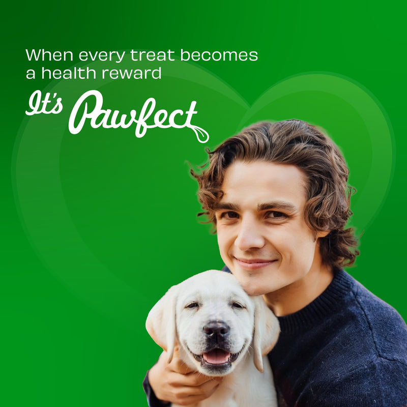 Pineapple Yogurt Melties Prebiotics and Probiotics for Dog | Promotes Immunity, Supports Gut Health | May Help Support Yeast Balance | May Help in Occasional Itchy Skin | Grain-Free (1.3oz)