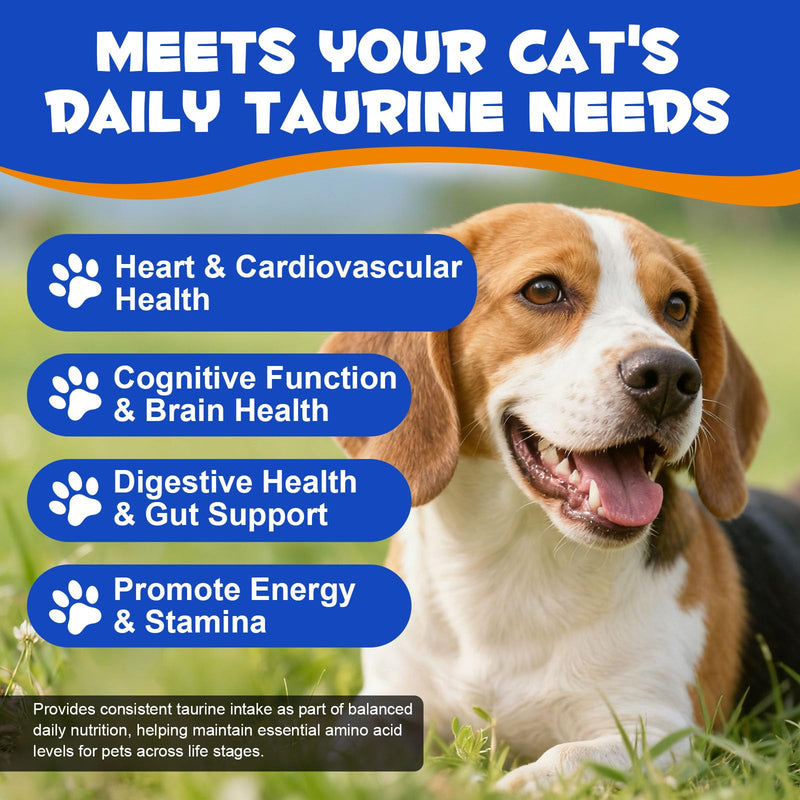 Taurine for Dogs,Taurine Supplement for Dogs,Taurine Supplement Powder for Dogs,Doggy Supps Taurine Powder,Easy-to-Mix Daily Supplement,Immune Support,Advanced Heart,Vision&Cognitive Support