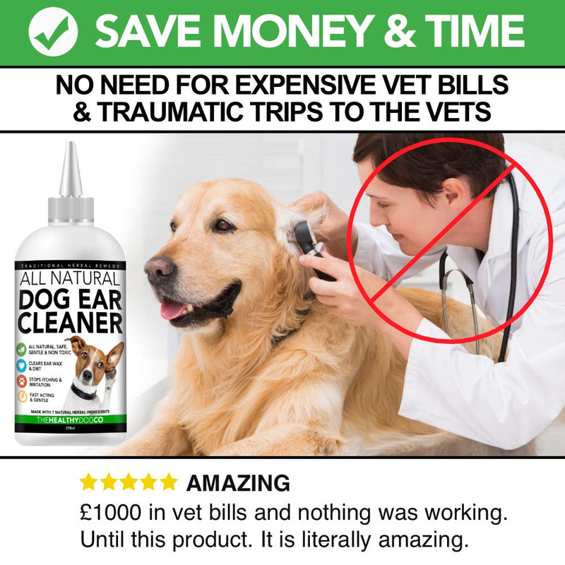 All Natural Dog Ear Cleaner | 250ml | Works in 2-3 Days | Eliminates Smells, Itching & Discomfort | Voted the Best, Safest Dog Ear Wash For Dogs With Ear Wax, Dirt, Yeast - PawsPlanet Australia