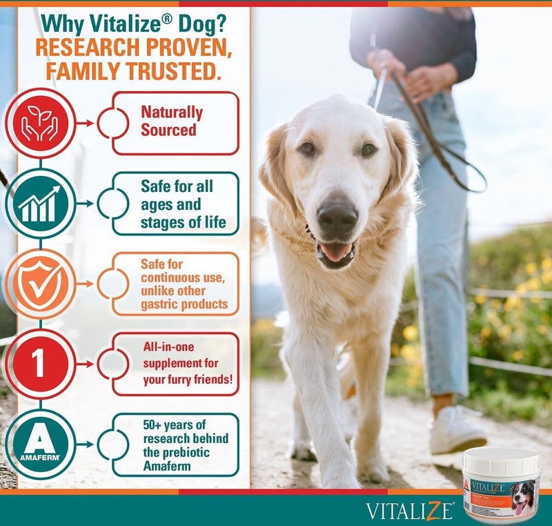Vitalize Dog Digestive Health Powder - Relief for Constipation, Vomiting & Nausea, Skin & Coat Supplement- Multivitamin Powder with Omega 6, 3 & Biotin & Dog Prenatal Supplement (1 Pound) - PawsPlanet Australia