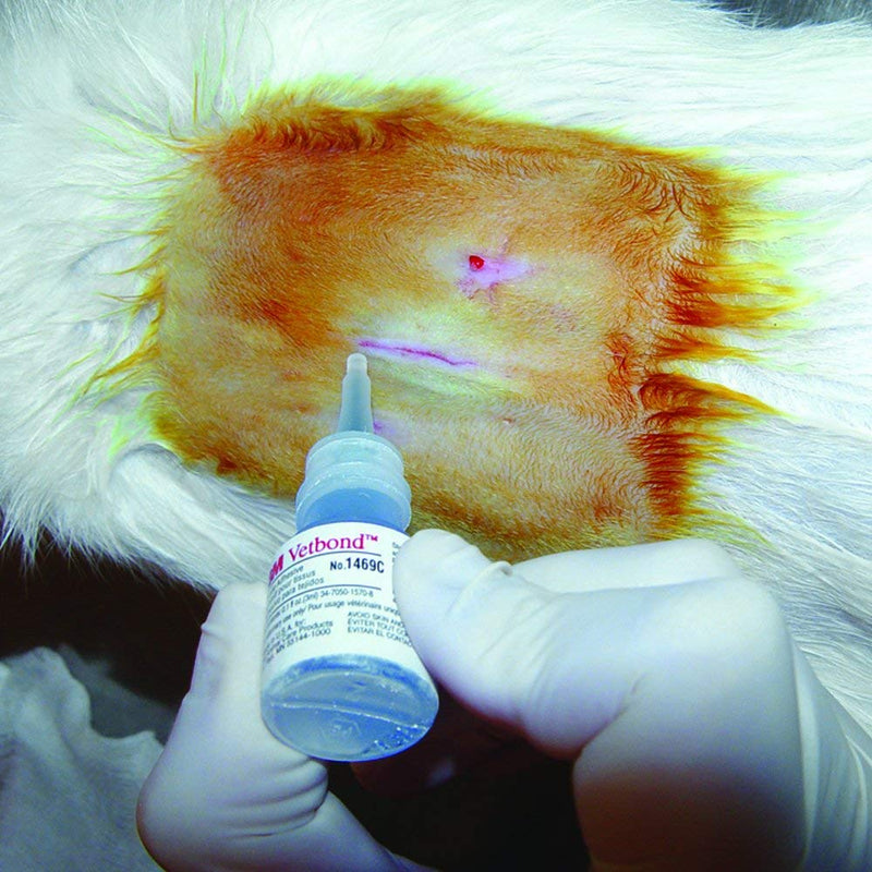 3M Animal Care 014006 Vetbond Tissue Adhesive by Unknown - PawsPlanet Australia