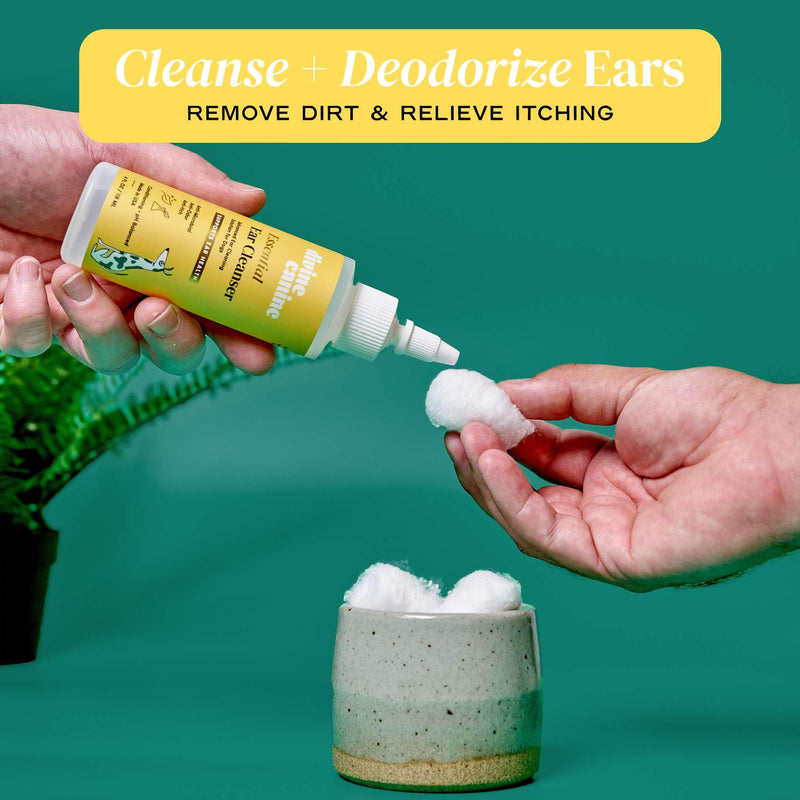 Dog Ear Cleaner - 4 Fl Oz of Dog Ear Wash - Drops to Dissolve Wax, Combat Odor, and Support Healthy Ears - Made with Chamomile, Honey, and Aloe - Made in The USA 4oz - PawsPlanet Australia