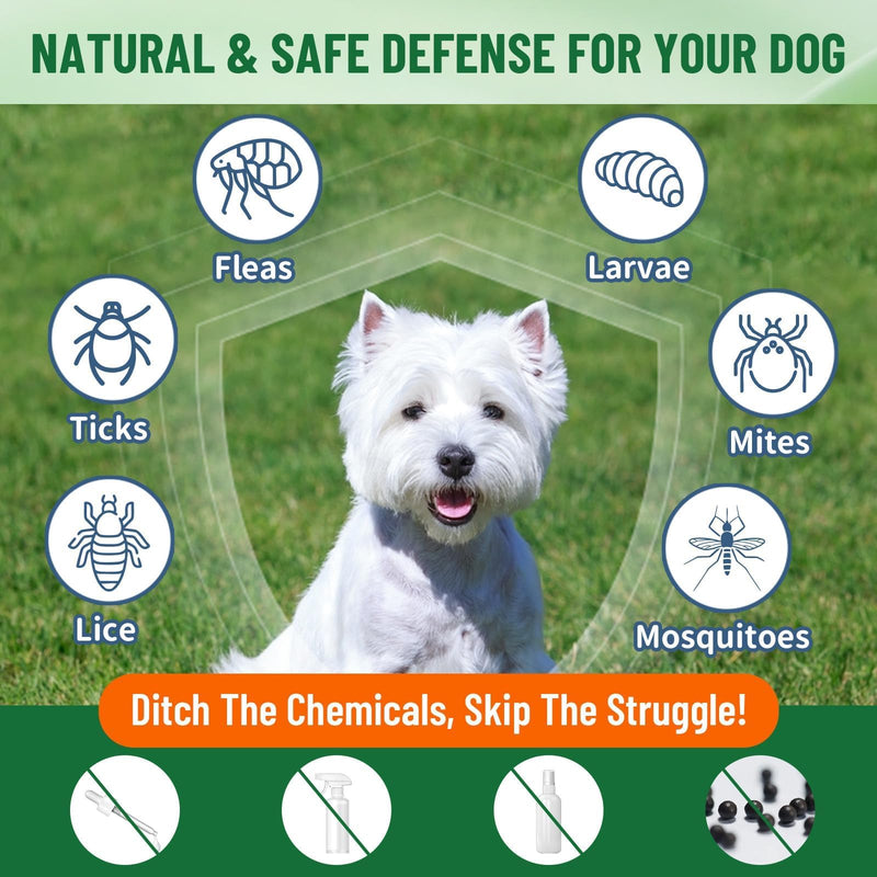 Natural Flea and Tick Prevention for Dogs, Oral Herbal Dog Flea and Tick Treatment Drops with Pumpkin Seed & Black Walnut for Dogs, Skin & Coat Care - Digestive & Immune for All Breeds and Ages, 60ml