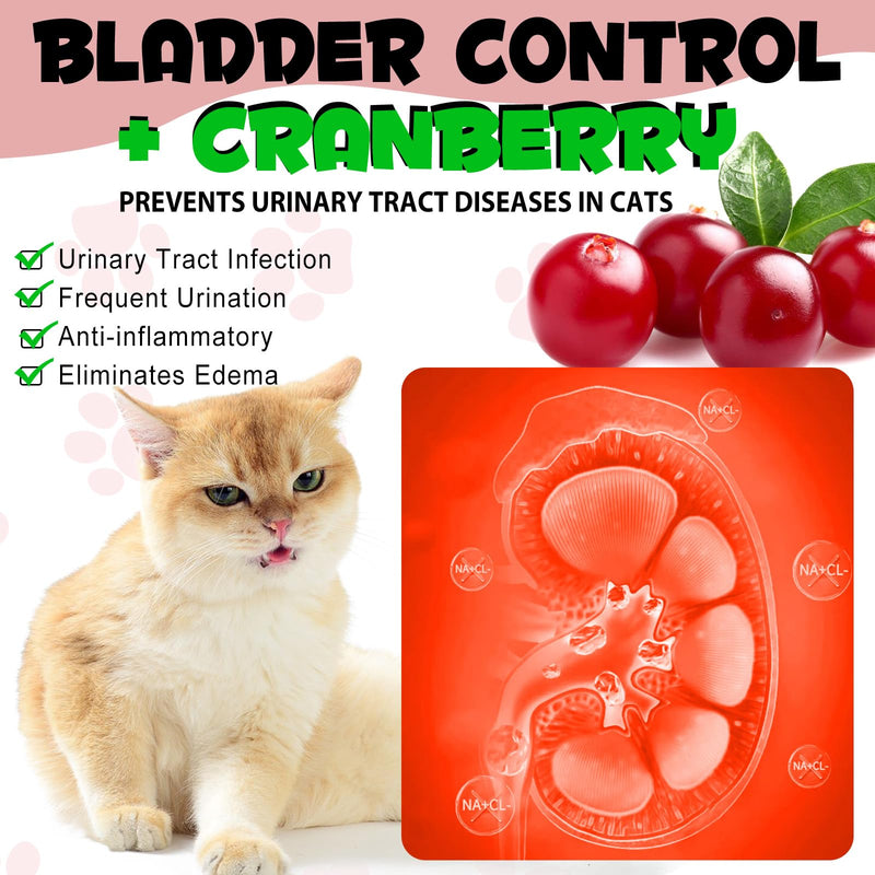 Urinary Tract for Cats, Natural Cat Urinary Tract Infection Treatment Drops Supports Bladder, Kidney Stone, Cat UTI, Cranberry Kidney Bladder Support Supplement, Chicken Flavor - 60ml / 2.02oz 1PCS