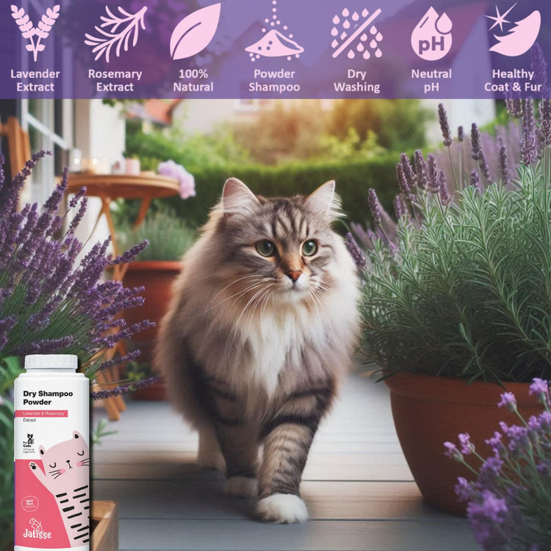 Cat Dry Shampoo Powder with Lavender and Rosemary and Enzymatic Pet Toothpaste | Cat Tooth Brushing Kit | Cat & Dog Dental Care