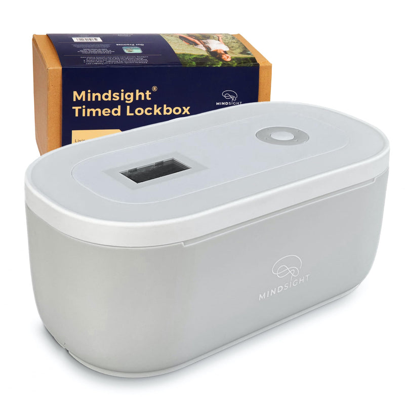 Mindsight Timed Lock Box | Unplug from Phones, Video Games, Social Media, Snacks & Cravings | 3 Modes based on Willpower | Easy to Use | Out of Sight ~ Out of Mind | Boost Your Mental Wellness Standard Glacier Gray
