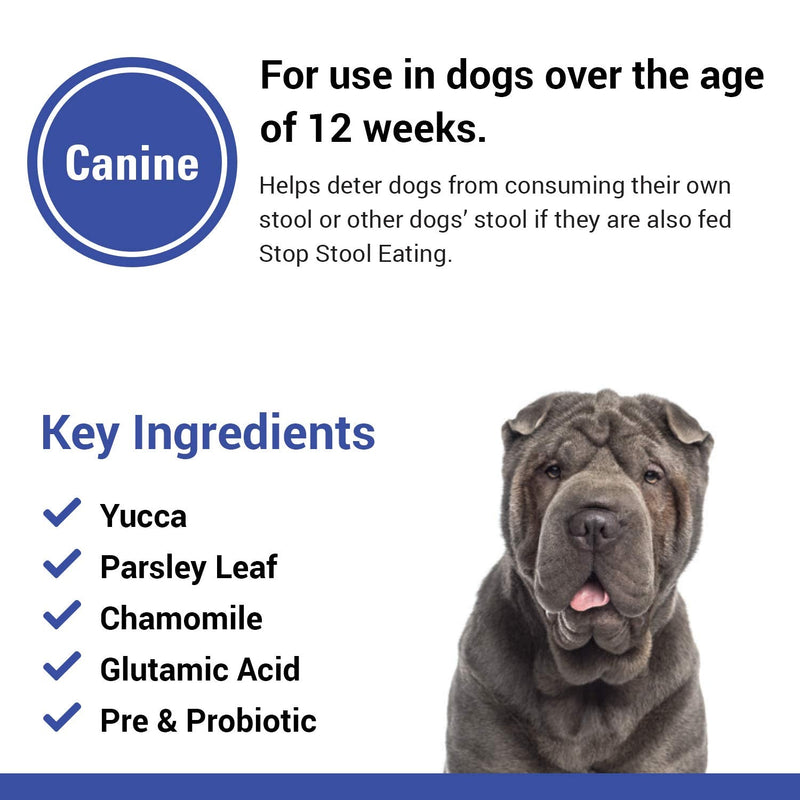 Vet Classics Stop Stool Eating Pet Health Supplement for Dogs – Dog Breath Freshener – Stops Dogs from Eating Stool – Enzymes, Probiotics 60 Chewablet Tablets - PawsPlanet Australia