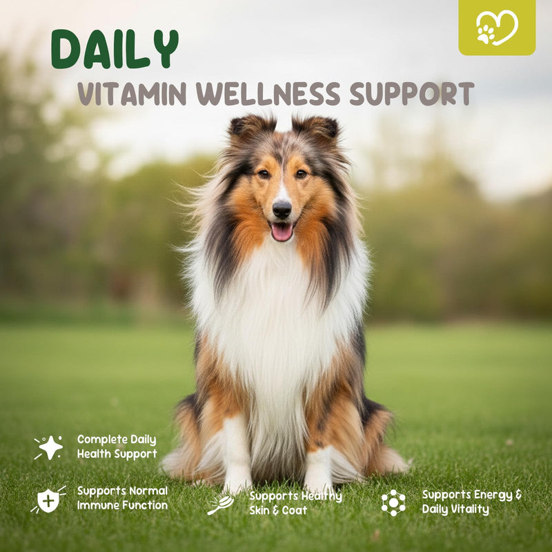 22-in-1 Grain-Free Dog Multivitamin Supplement – 90 Soft Chews for Hip & Joint Health, Immune Support, Healthy Coat & Overall Wellness – Vitamins A, B12, C, D, E, Minerals, and Antioxidants Pork