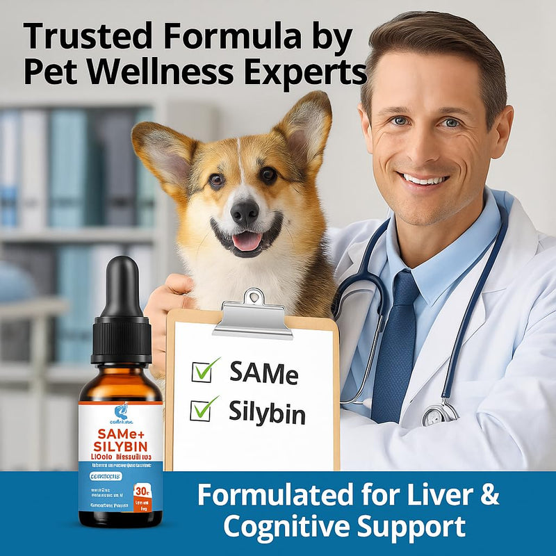 SAMEe for Dogs 500mg Liquid Drops with Silybin – Bacon Liver Flavored Liver Support Supplement for Dogs – S-Adenosyl Methionine & Milk Thistle Extract – 30ml (1oz) 1 Fl Oz(Pack of 1)