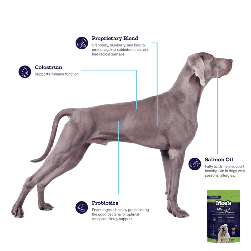 Moe’s Allergy and Immune Support for Dogs- Supports Anti-Itch, Seasonal Allergies- Omega 3 Wild Alaskan Salmon Fish Oil- Dog Allergy Treatment, Skin Health- Made in USA- 90 Chews (Peanut Butter) Peanut Butter - PawsPlanet Australia