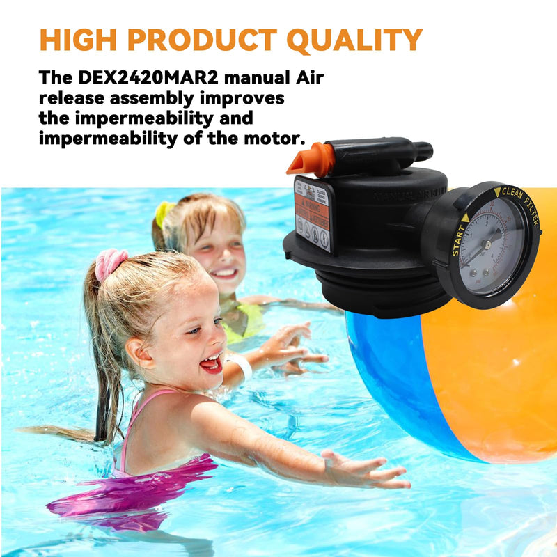 DEX2420MAR2 Manual Air Relief Assembly, Compatible with Pro Grid De Swimclear and Swim Clear Cartridge Filtersr, 2420MAR2 Air Relief Valve with Teflon Tape and O-Ring