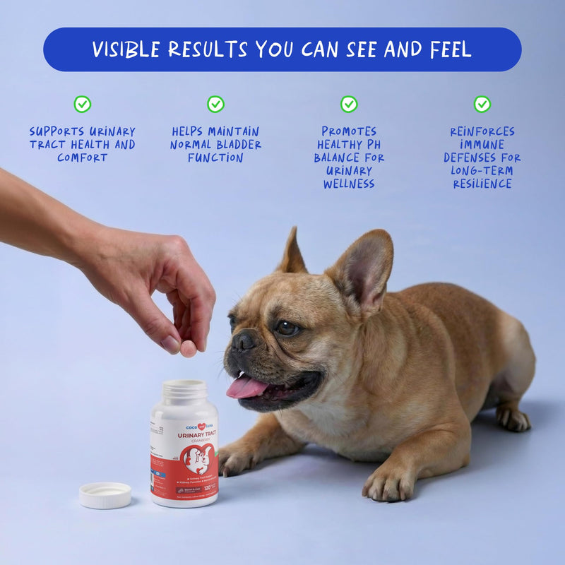 Cranberry Supplement for Dogs & Cranberry Liquid for Cats - Supports Urinary Tract & Bladder Wellness